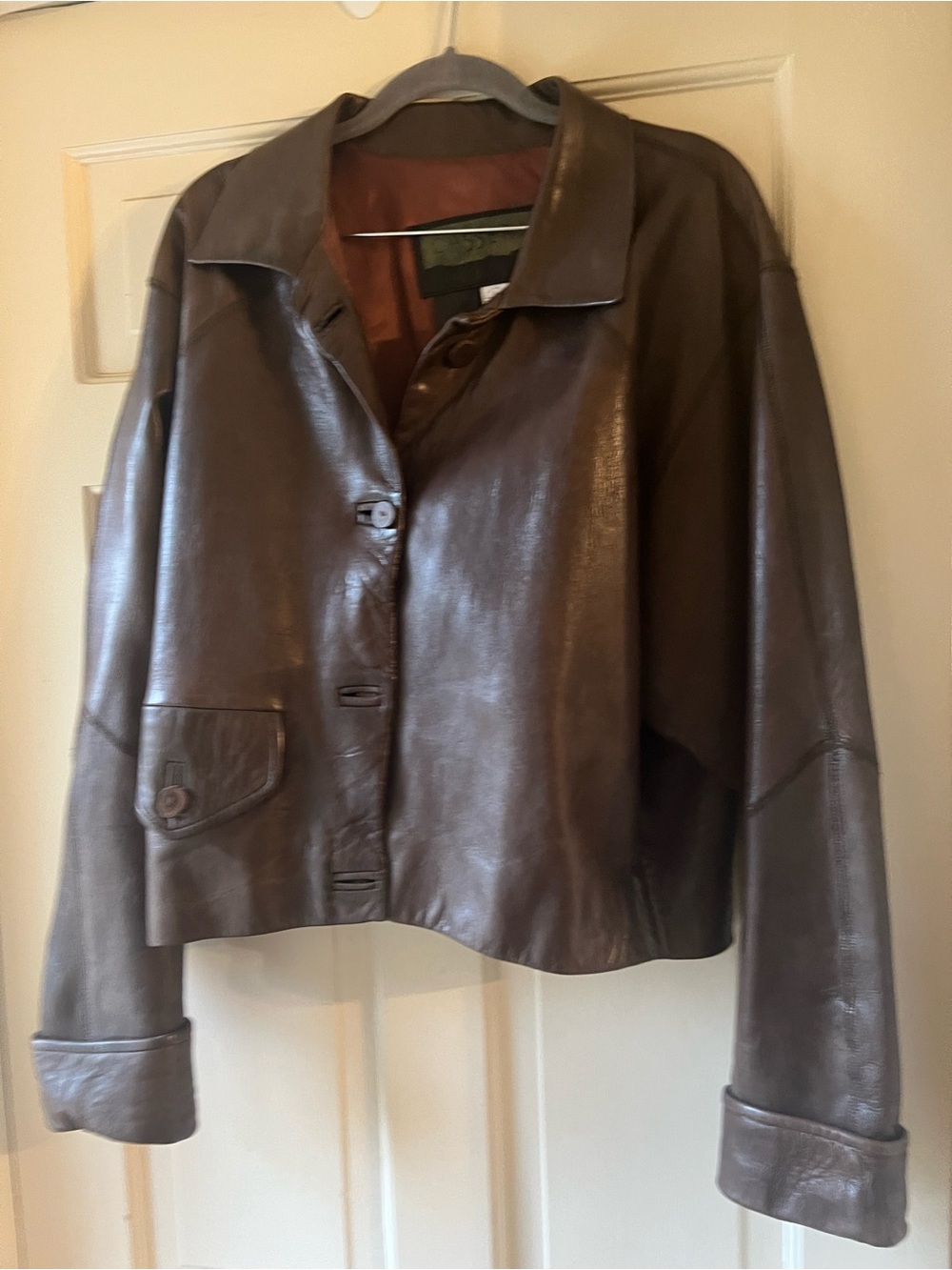 Casserly  Brown Leather Jacket - Women's Short Button Coat